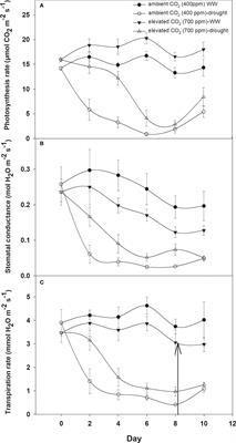 Interactive effect of elevated CO2 and drought on physiological traits of Datura <mark class="highlighted">stramonium</mark>